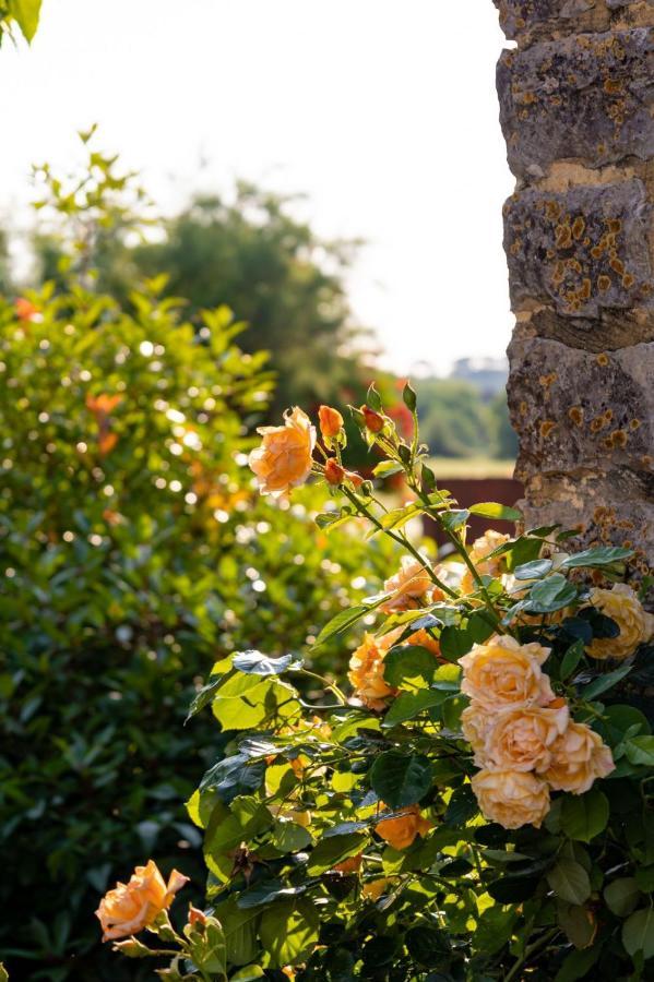 Bed and Breakfast Les P'Tits Velos Chandolas Exterior foto