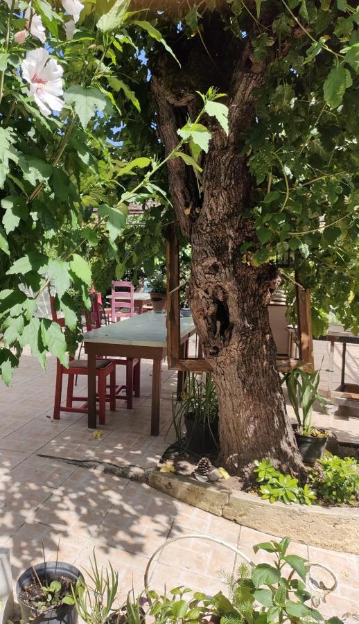 Bed and Breakfast Les P'Tits Velos Chandolas Exterior foto