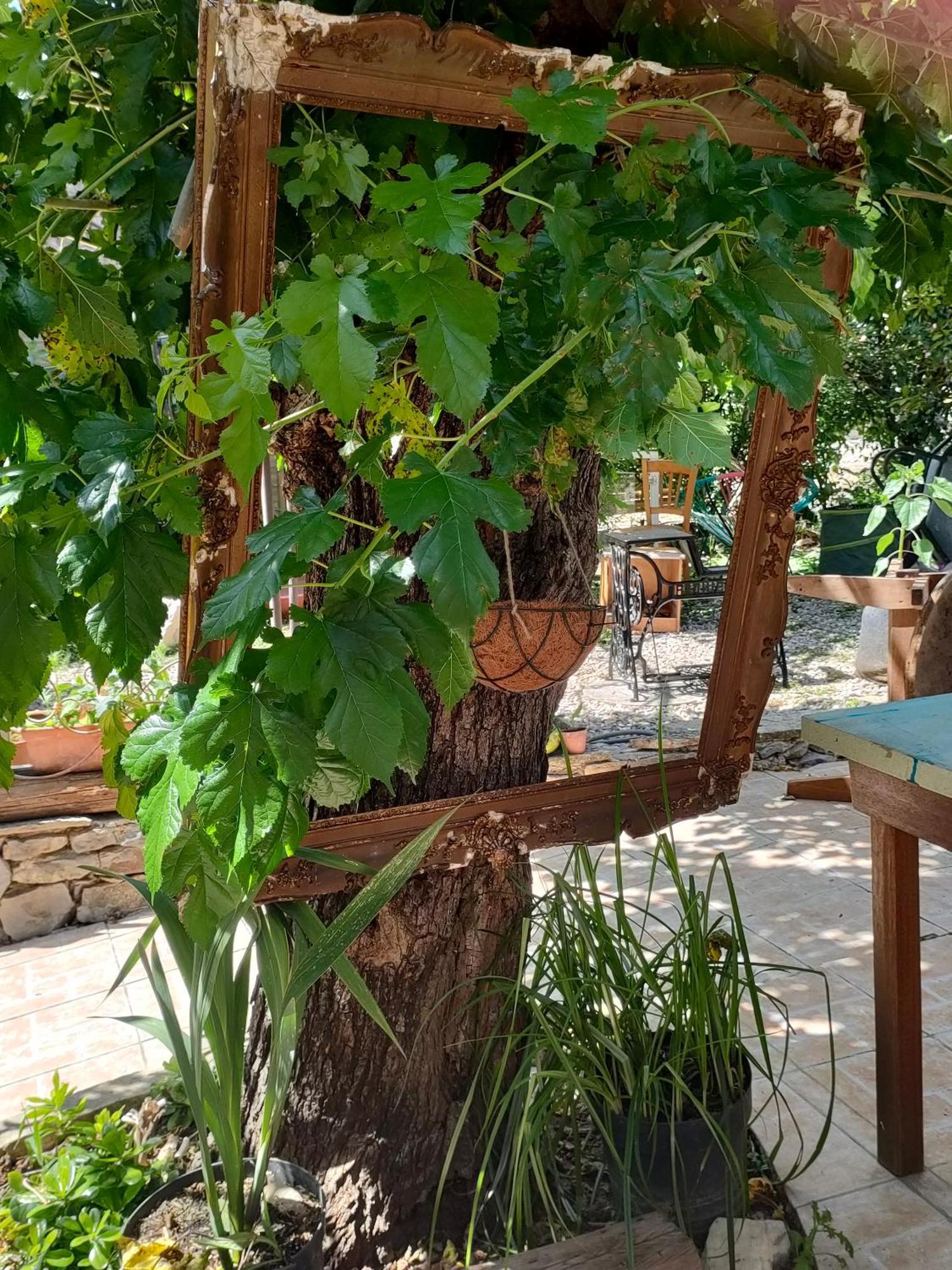 Bed and Breakfast Les P'Tits Velos Chandolas Exterior foto